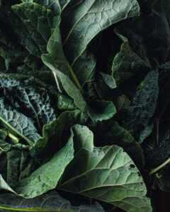 Kale from the garden