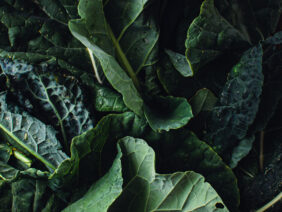 Kale from the garden